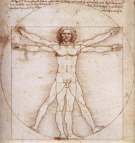Leonardo Da Vinci - Hombre de Vetruvio