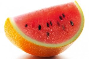 Tropicana Pure Premium Orange Creations